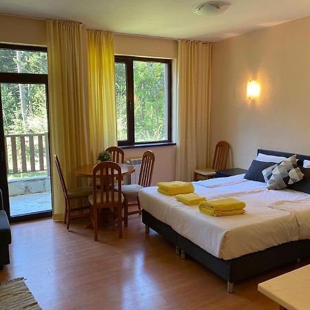 Flora Ski-Slope Studio Apartment Borovets Eksteriør billede