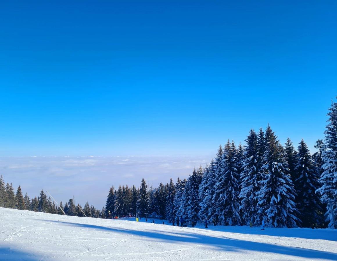 Flora Ski-Slope Studio Apartment Borovets Eksteriør billede