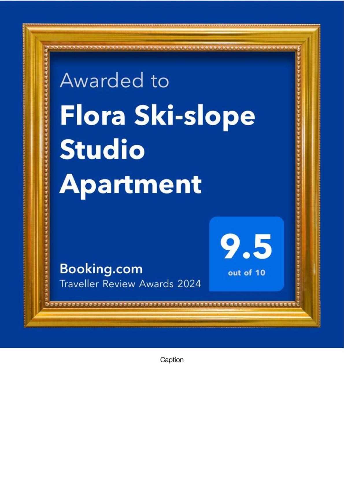 Flora Ski-Slope Studio Apartment Borovets Eksteriør billede